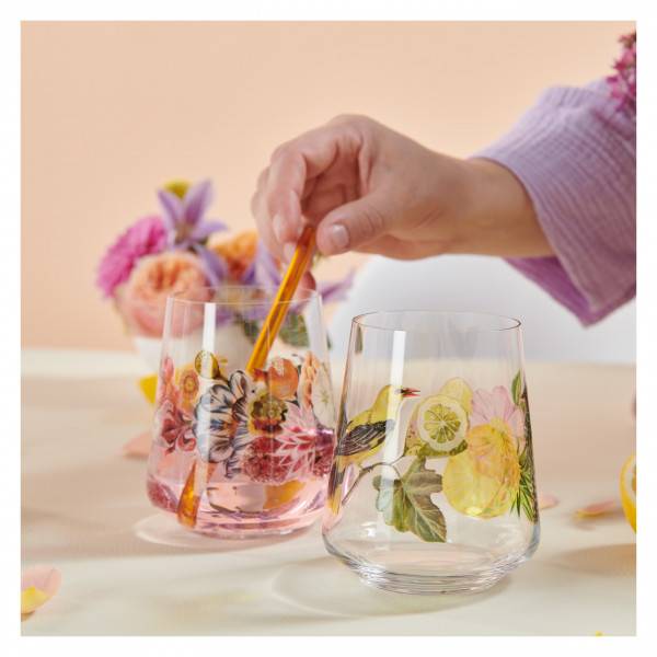 Ritzenhoff Sommertau UNIVERSALGLAS-SET #1, #2 2025