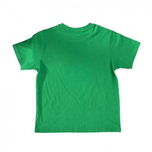 Roth Ideen Kinder T-Shirt Tyrannosaurus, kelly green - (130-140) Jubiläumsangebot