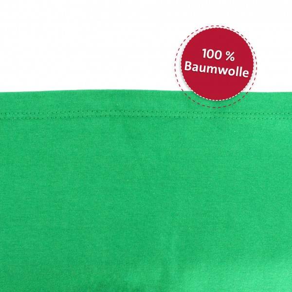 Roth Ideen Kinder T-Shirt Tyrannosaurus, kelly green - (130-140) Jubiläumsangebot