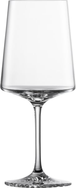 Schott Zwiesel Allround Weinglas Echo Jubiläumsangebot