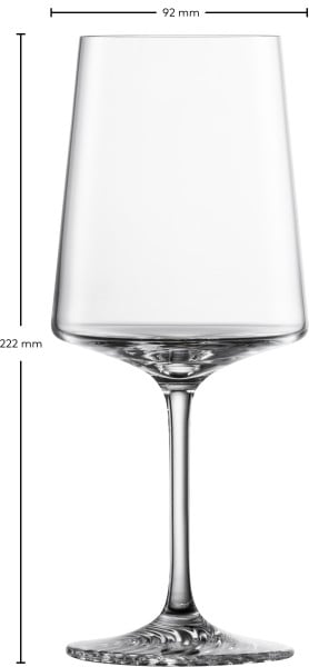 Schott Zwiesel Allround Weinglas Echo Jubiläumsangebot