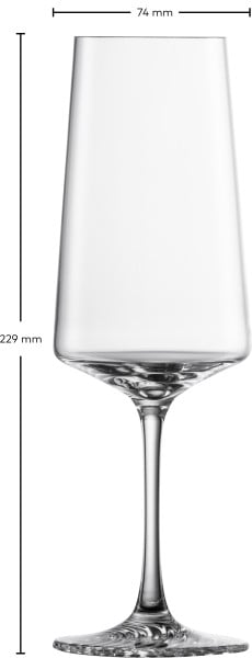 Schott Zwiesel Champagnerglas Echo Kostenlose Rückgabe