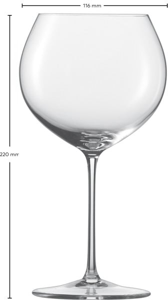 Schott Zwiesel Burgunder Rotweinglas Enoteca Exklusivangebot