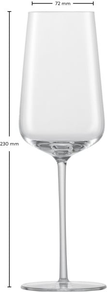 Schott Zwiesel Champagnerglas Vervino Saisonale Angebote
