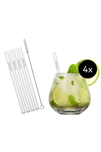 Schott Zwiesel After Work Drinks Set - 4 Becher, 4 Trinkhalme, 1 Baumwollbürste